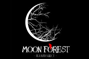 Квест «Moon forest» в Новосибирске
